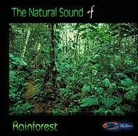 natural sounds of the rainforest on CD