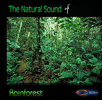 natural sounds of the rainforest on CD