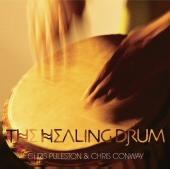 The Healing Drum by Chris Puleston and Chris Conway