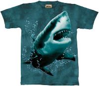 10-1027 - Great White