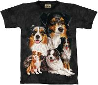 10-1041 - Australian Shepherd