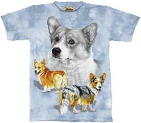 10-1042 - Welsh Corgi