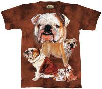 10-1043 - Bulldog
