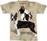 10-1044 - Boston Terrier