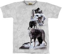 10-1057 - Wolves up the Side