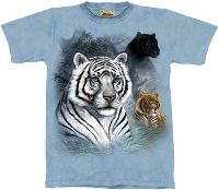 10-1077 - Three Cats