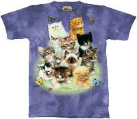 10-1080 - 10 Kittens