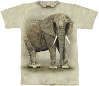 10-1100 - Majestic Elephant