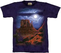 10-1102 - Desert Nightscape
