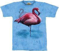 10-1112 - Flamingo