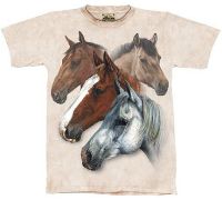 10-1121 - Equestrian Dream