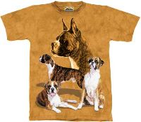 10-1149 - Boxer