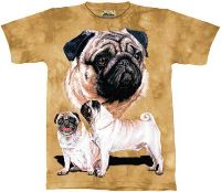 10-1153 - Pug