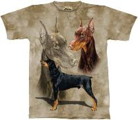 10-1156 - Doberman Pinscher