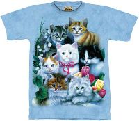 10-1172 - Kittens