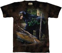10-1187 - Da Bear