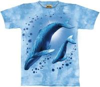 10-1369 - Family Humpbacks
