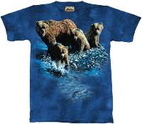 10-1417 - Bears Fishing