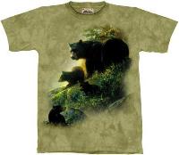 10-1453 - Bears in the Morning