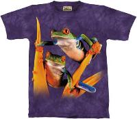 10-1478 - Red Eyed Tree Frogs