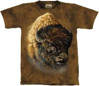 10-1536 - Buffalo Portrait