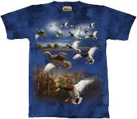 10-1538 - Ducks