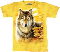 10-1610 - Wolf Gaze