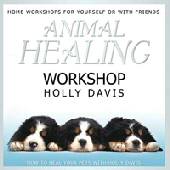 Animal Healing Workshop