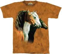 10-1022 - 3 Horse Portrait