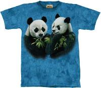 10-1169 - Pandas