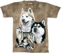 10-1155 - Huskies