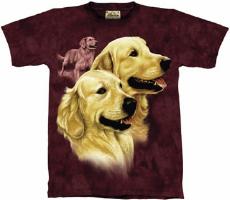 10-1161 - Retreiver Portrait
