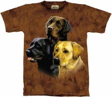 10-1163 - Labrador Collage