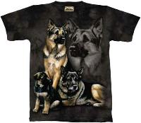 10-1164 - German Shepherds
