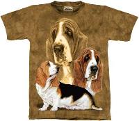 10-1167 - Basset Hound