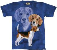 10-1168 - Beagle