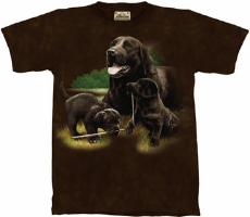 10-1174 - Chocolate Labs