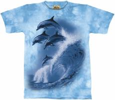 10-1261 - Four Dolphins