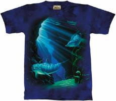 10-1344 - Dolphins in Cave