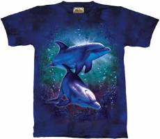 10-1372 - Coral Reef Dolphins