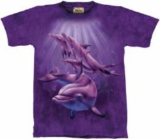 10-1375 - Dolphin Pod