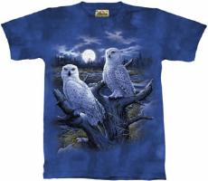 10-1134 - Snowy Owls