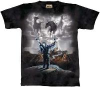 10-1321 - Summoning the Storm