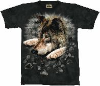 10-1056 - Wolf in Dye Paw
