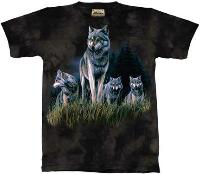 10-1180 - Wolves in Grass