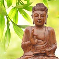 Buddha 1 Card