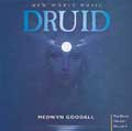 Druid - Medwyn Goodall