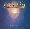 Merlin - Medwyn Goodall